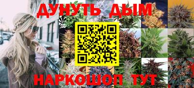 молекула духа Малоярославец