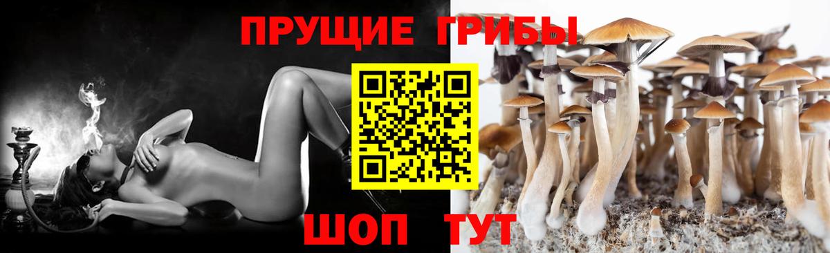 Псилоцибиновые грибы мицелий  Вход с VPN  Верхняя Пышма 